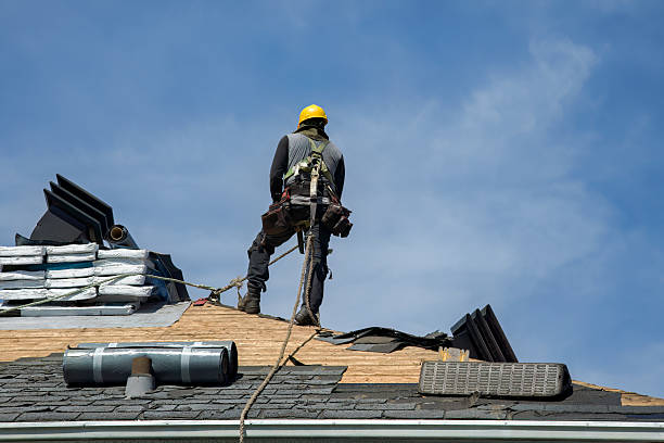 Professional Gutter Installation technician working in Tallevast, FL